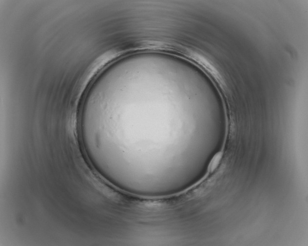 X0000114071283200910191514