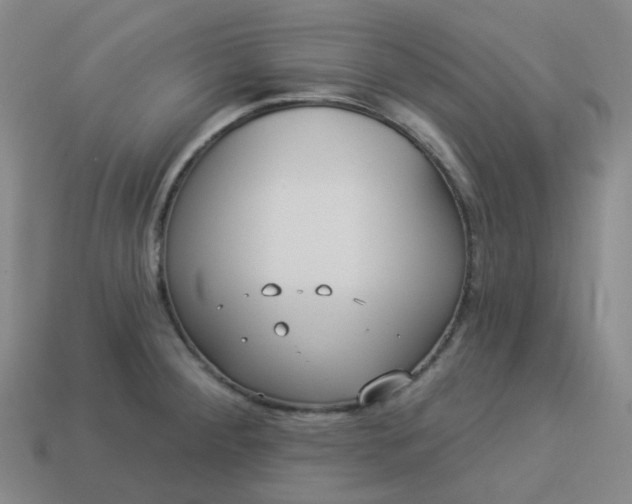 X0000114071284200910191514