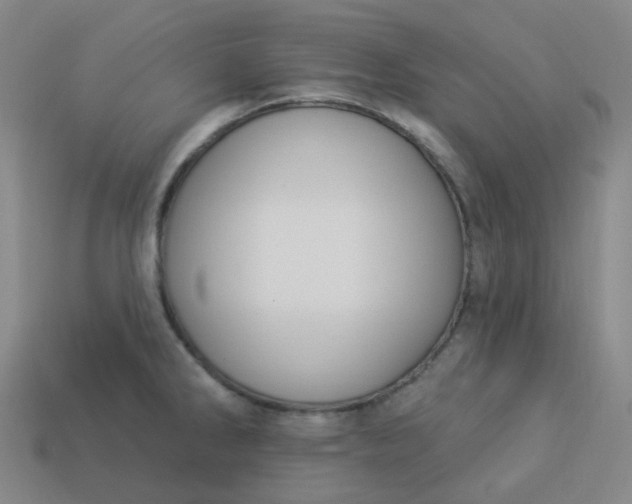 X0000114071286200910191514