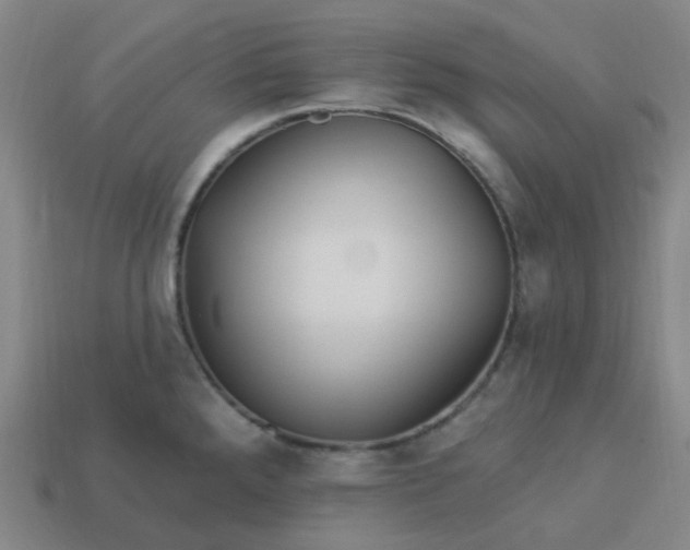 X0000114071288200910191514