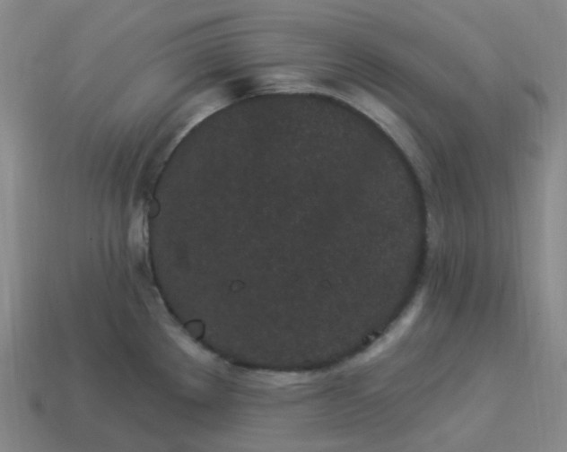 X0000114071289200910191514