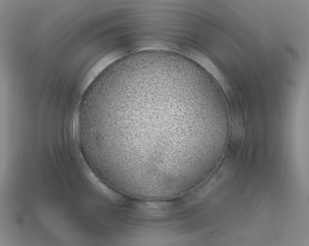 X0000114071290200910191514