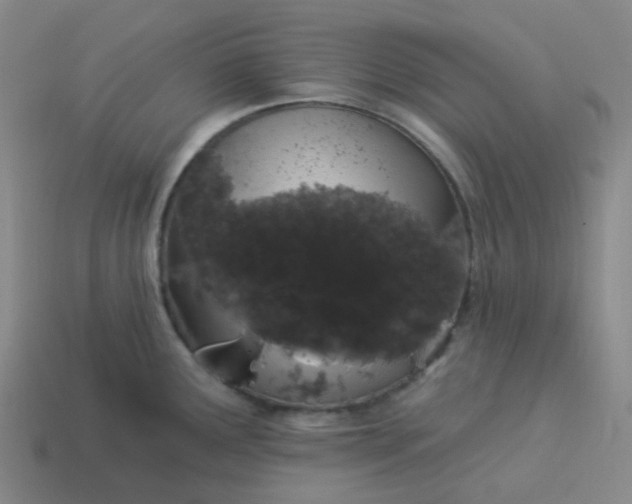 X0000114071291200910191514