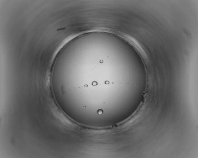 X0000114071292200910191514