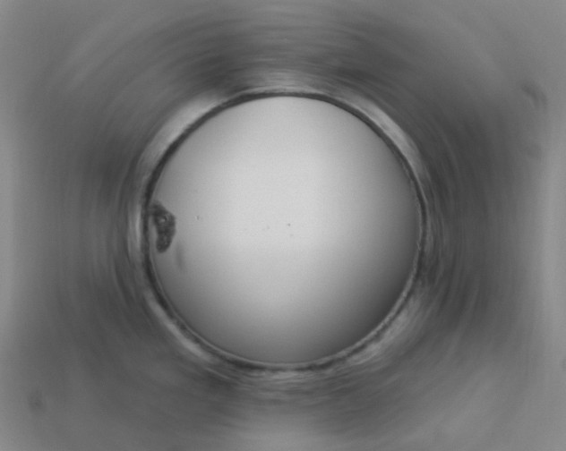 X0000114071293200910191514