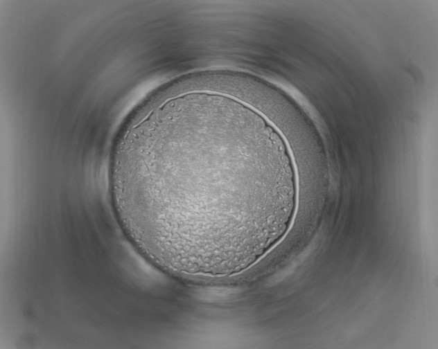 X0000114071294200910191514