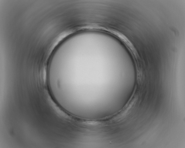 X0000114071295200910191514