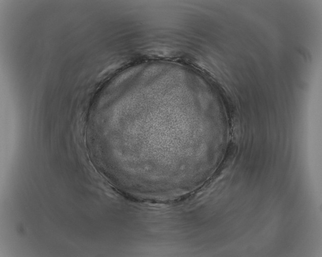 X0000114071297200910191513