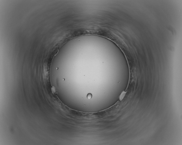 X0000114071298200910191513