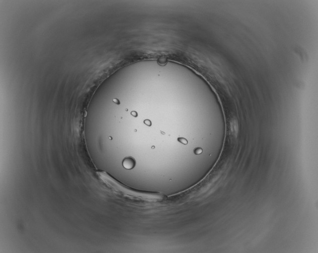 X0000114071300200910191513