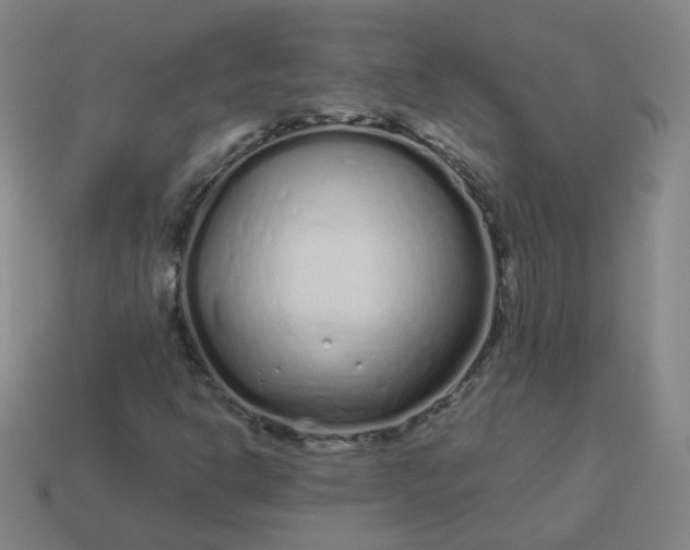 X0000114071302200910191513