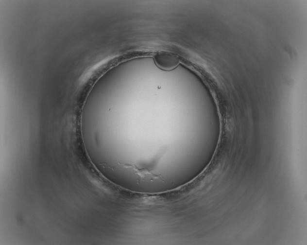 X0000114071304200910191513