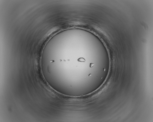 X0000114071305200910191513