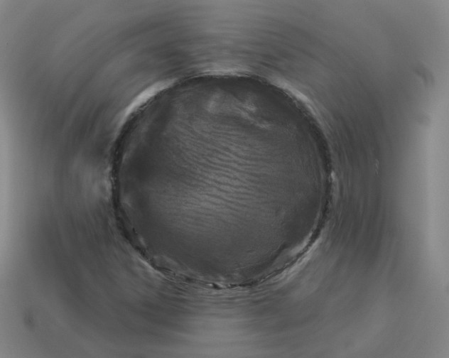 X0000114071306200910191513