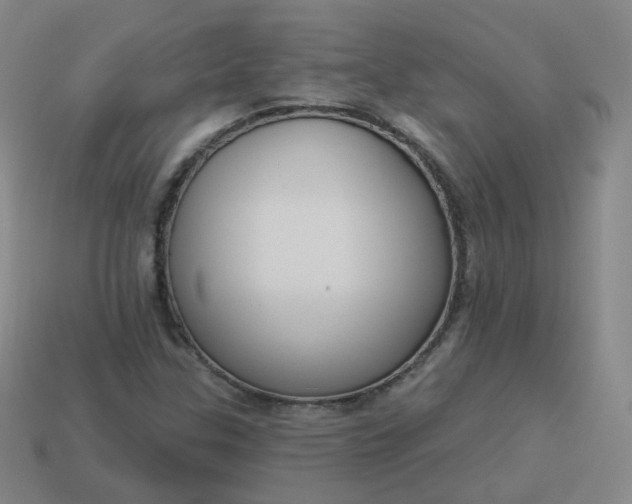 X0000114071307200910191513