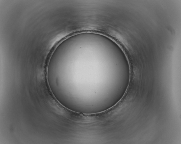 X0000114071308200910191513