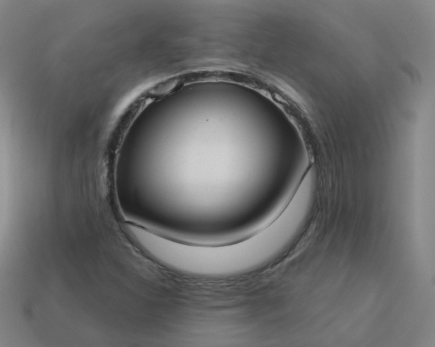 X0000114071310200910191513