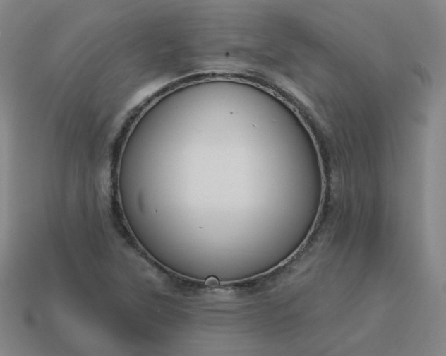 X0000114071315200910191513