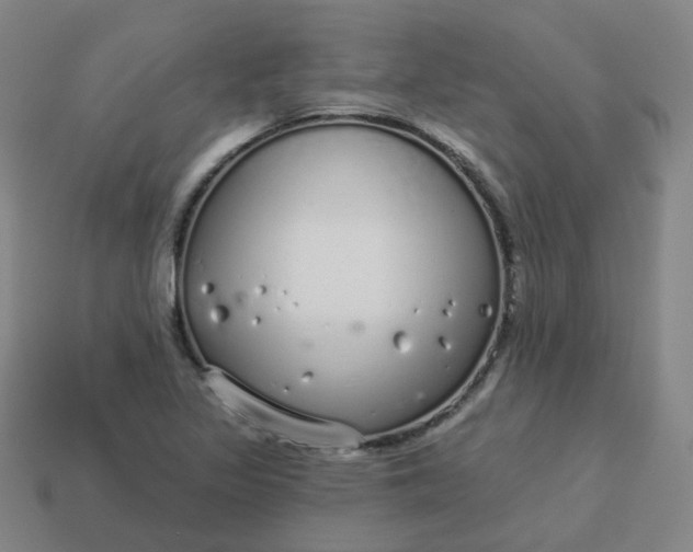 X0000114071317200910191514