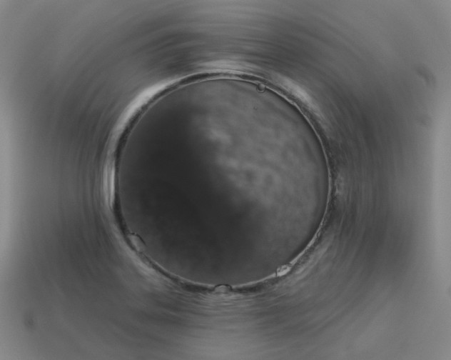 X0000114071323200910191514