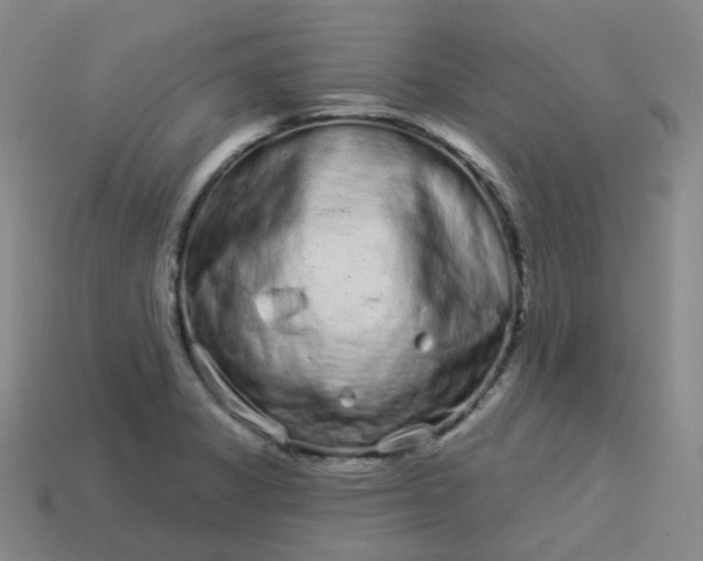 X0000114071325200910191514