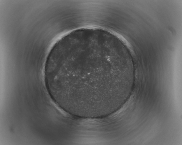 X0000114071327200910191514