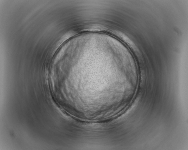 X0000114071329200910191514