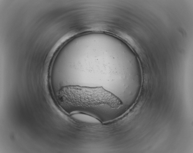 X0000114071331200910191514