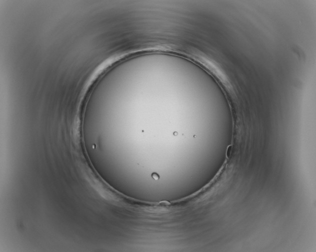 X0000114071332200910191514