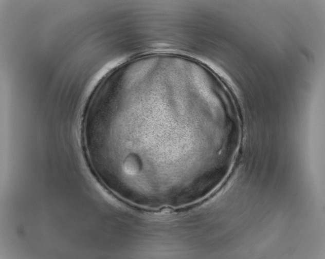 X0000114071333200910191514