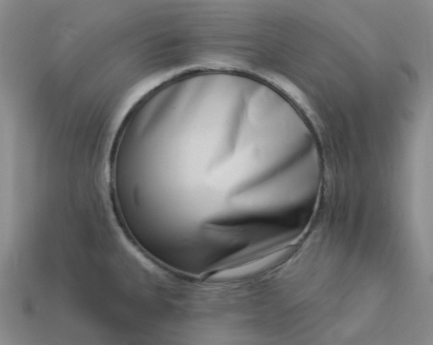 X0000114071335200910191514