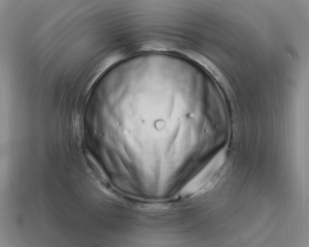 X0000114071337200910191514