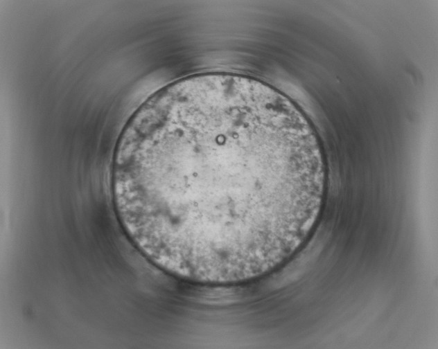 X0000114071338200910191514