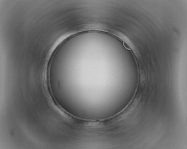 X0000114071339200910191514