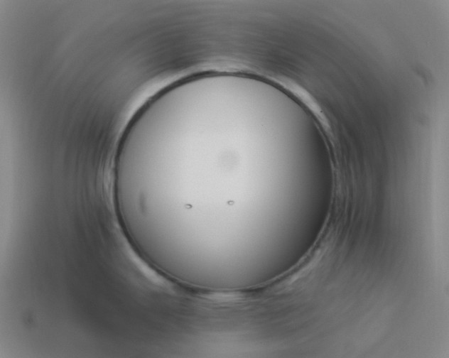 X0000114071343200910191514