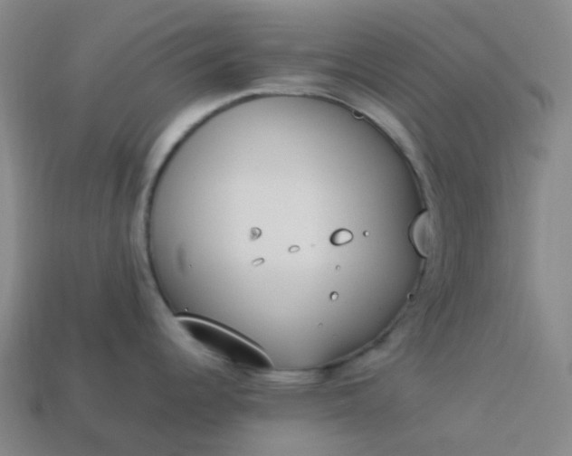 X0000114071344200910191514