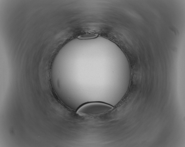 X0000114071345200910191513