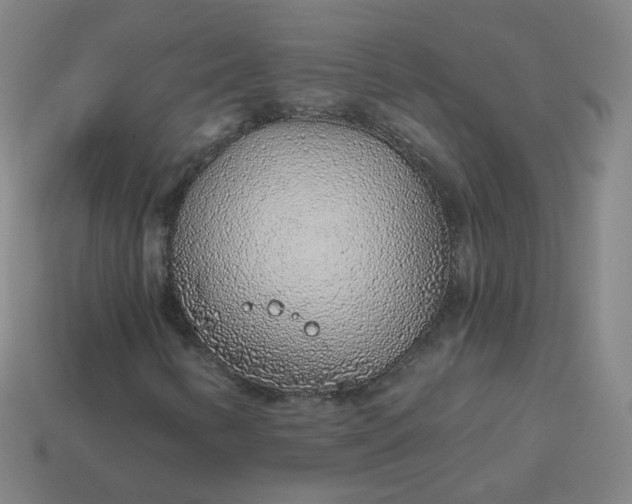 X0000114071346200910191513