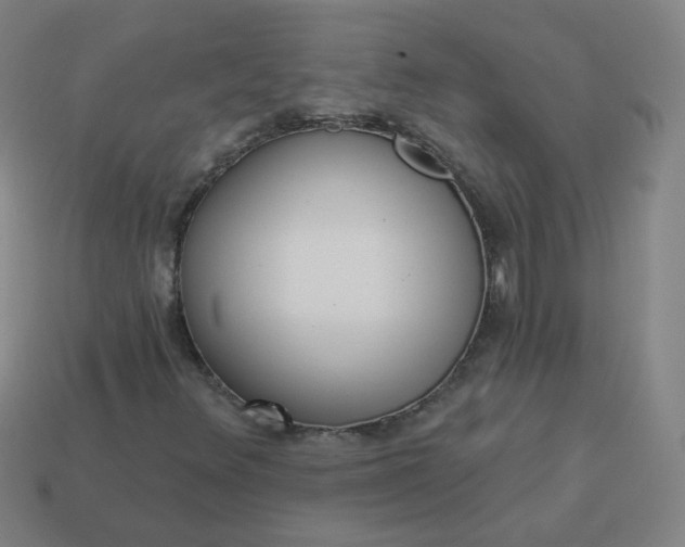 X0000114071348200910191513