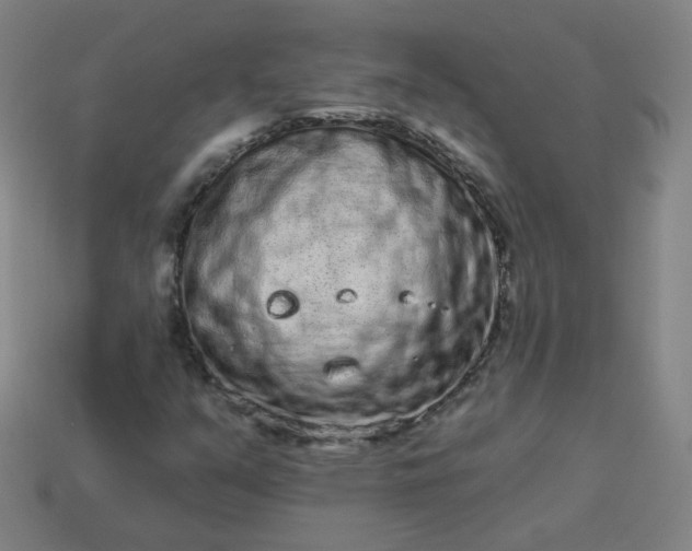 X0000114071351200910191513