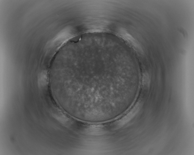 X0000114071353200910191513