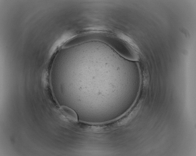 X0000114071357200910191513