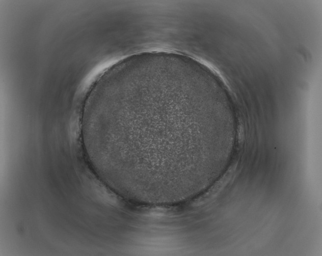 X0000114071359200910191513