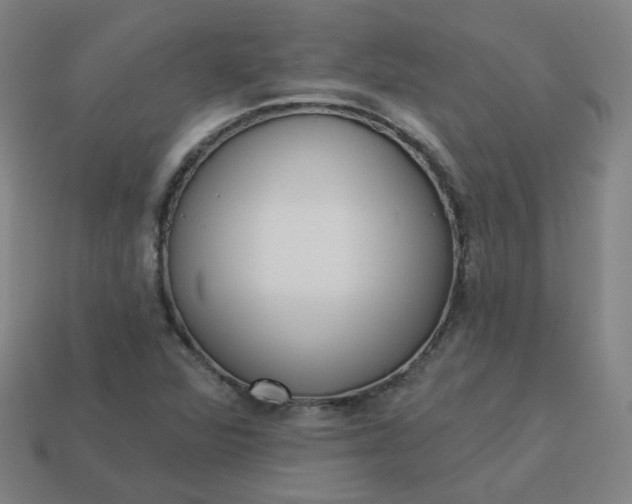 X0000114071360200910191513