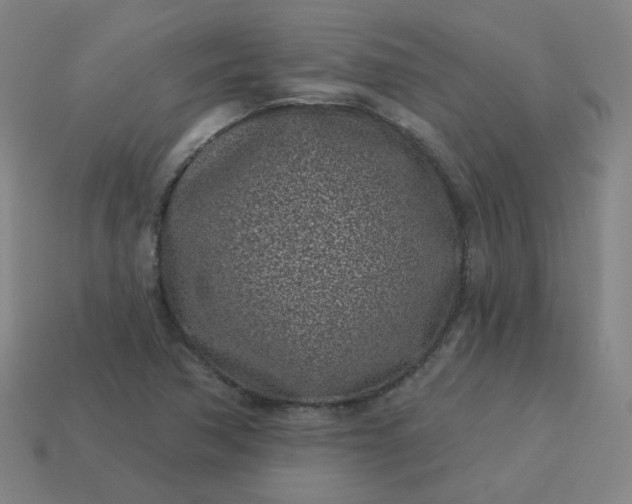 X0000114071362200910191513