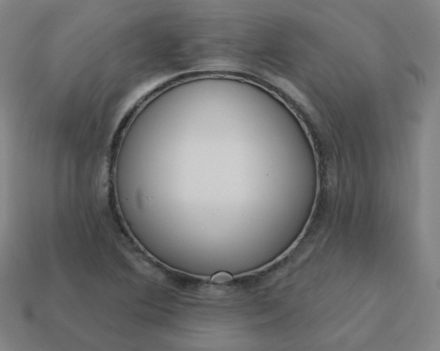 X0000114071364200910191513