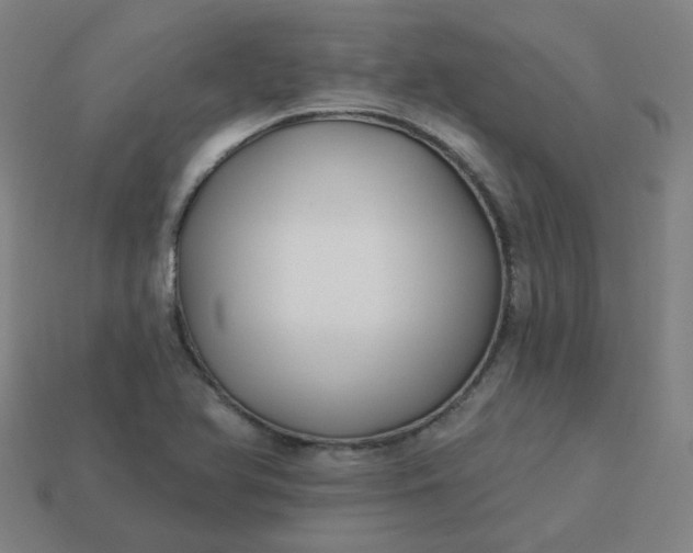 X0000114071366200910191513