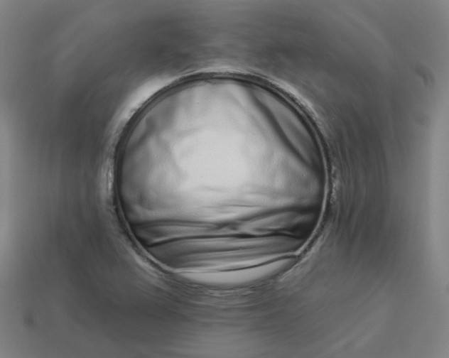 X0000114071367200910191513