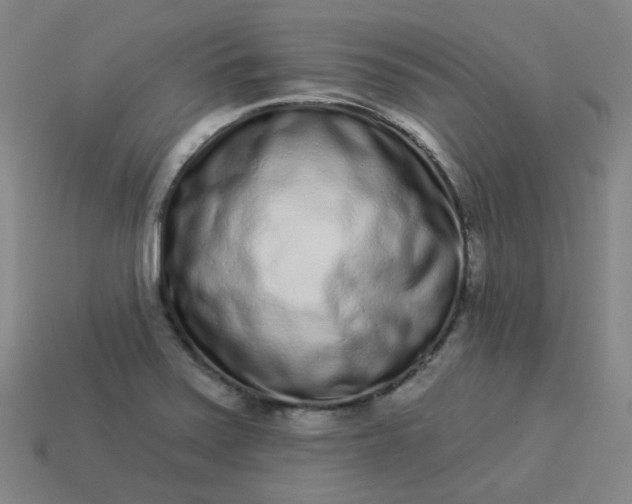 X0000114071371200910191513