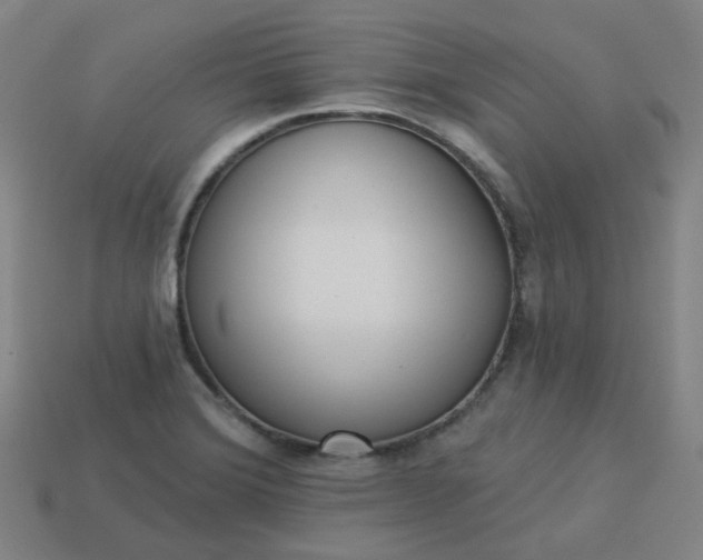 X0000114071372200910191513